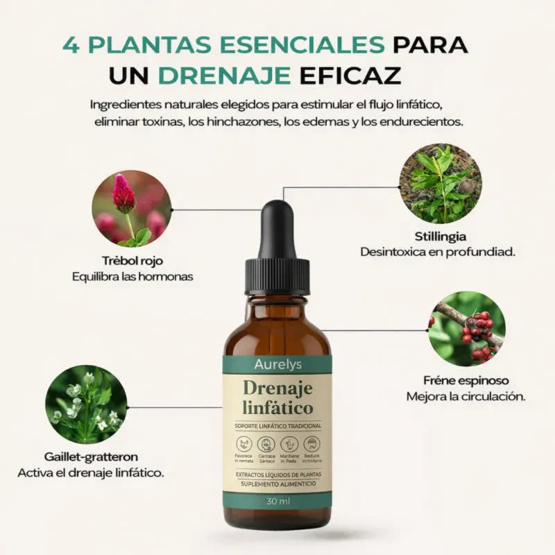 Las 4 plantas de Aurelys Drenaje Linfático