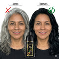CanasOff™ Shampoo 400ml — Cubre Canas en 10 Minutos | Sin Tinte, Sin Salón, Sin Daño