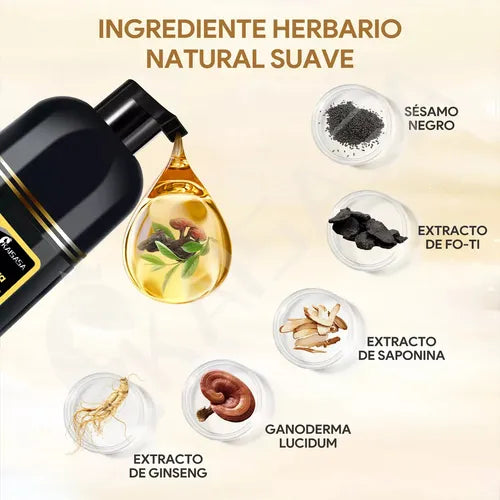 CanasOff™ Shampoo 400ml — Cubre Canas en 10 Minutos | Sin Tinte, Sin Salón, Sin Daño