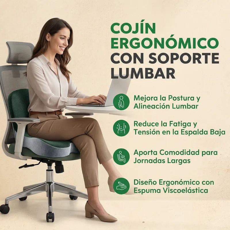 Cojín ergonómico con soporte lumbar